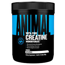 CREA ANIMAL 100% PURE CREATINE ANIMAL X300GR