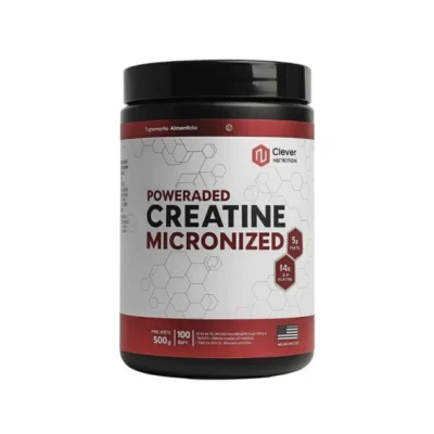 JJJJ CREATINA MONOHIDRATO ONE FIT X500GR